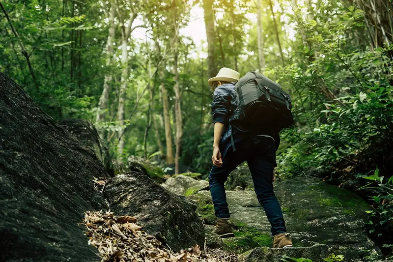 Randonnée et méditation : comment combiner activité physique et relaxation en pleine nature ?